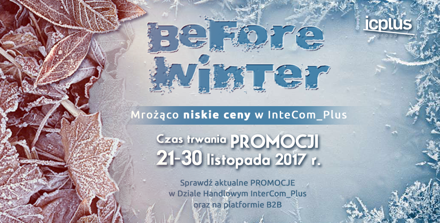 Nadchodzi zima, mrozi ceny!